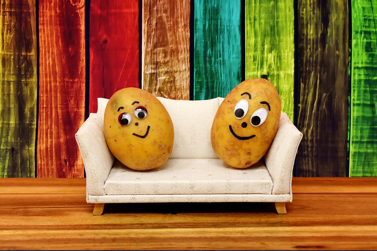 couch potatoes funny potatoes free photo