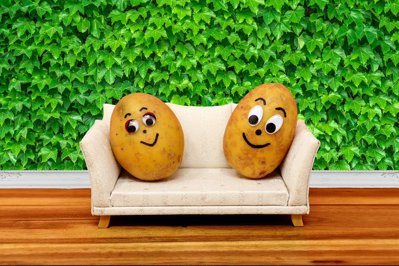 couch potatoes organic potatoes nature free photo