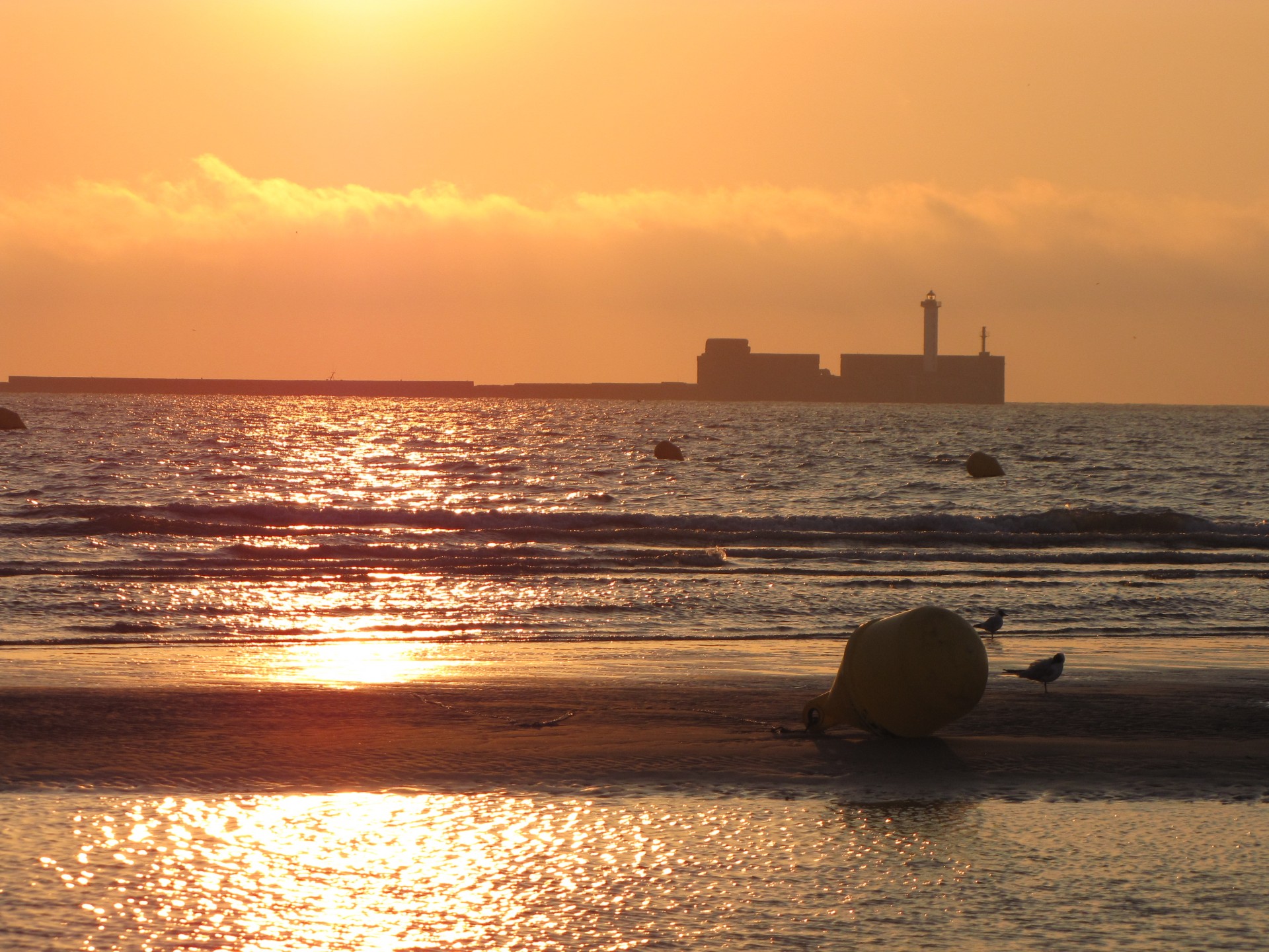 landscape sea sand free photo