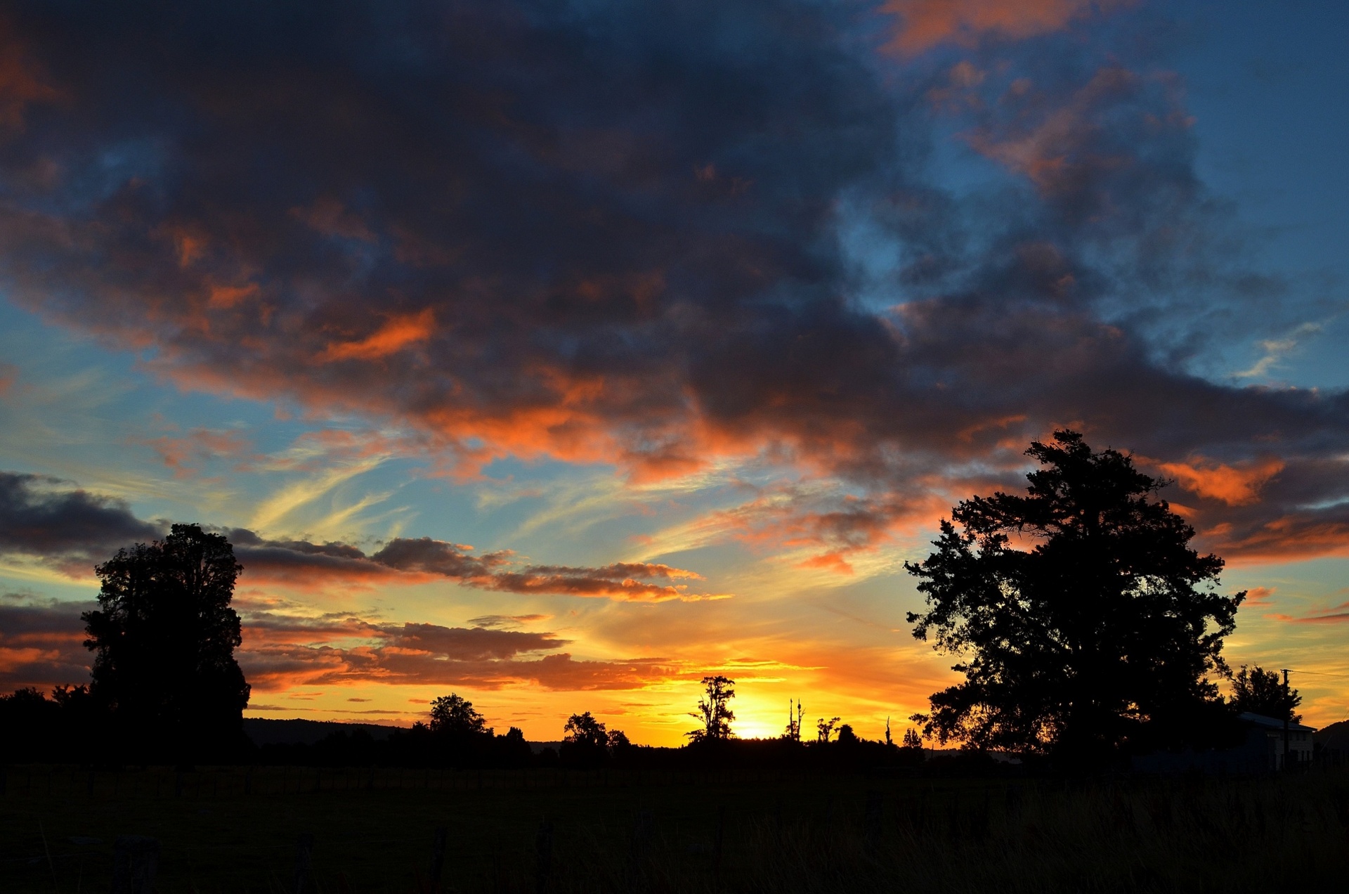 landscape meadows fields free photo