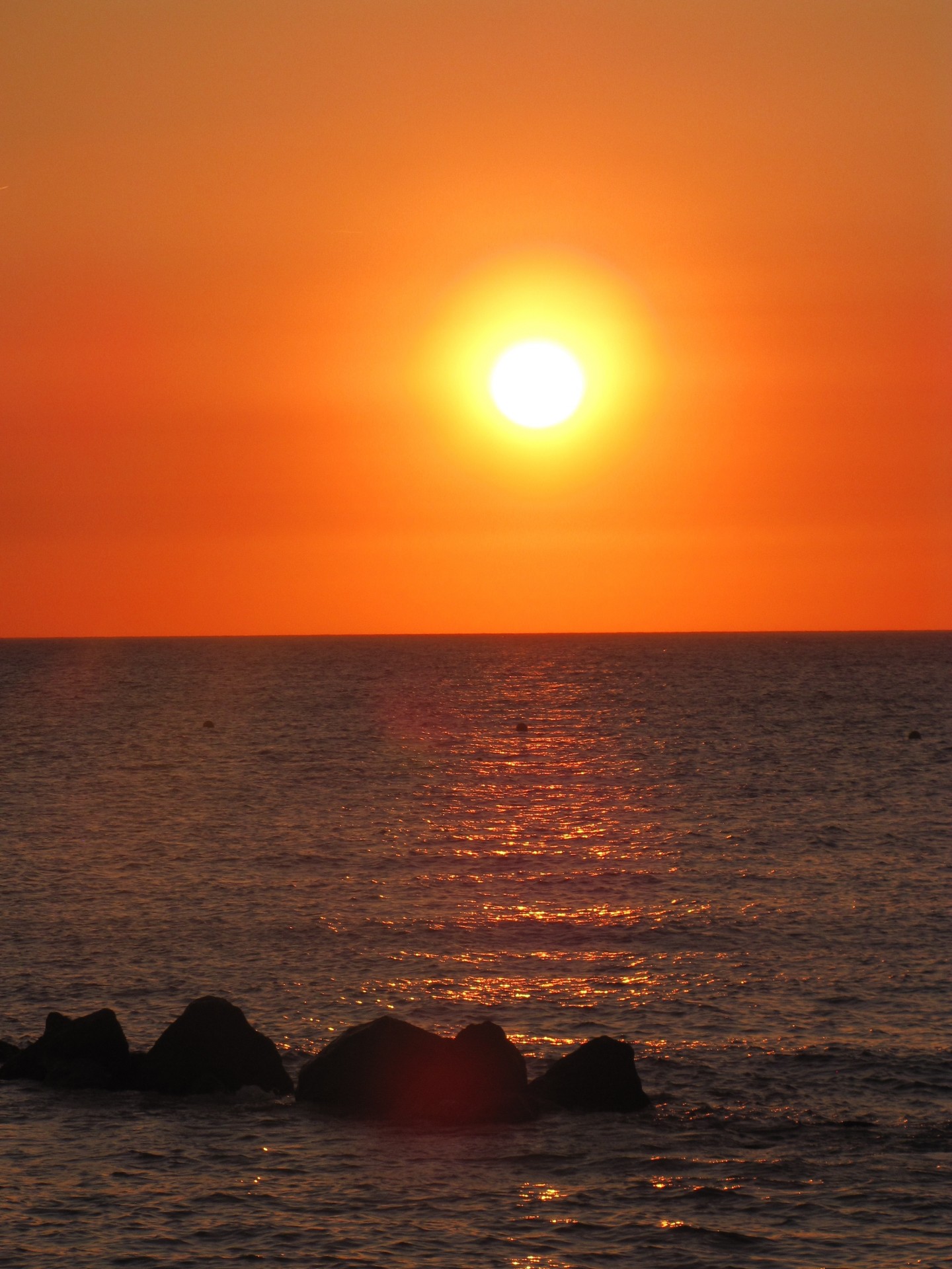 landscape sea sand free photo