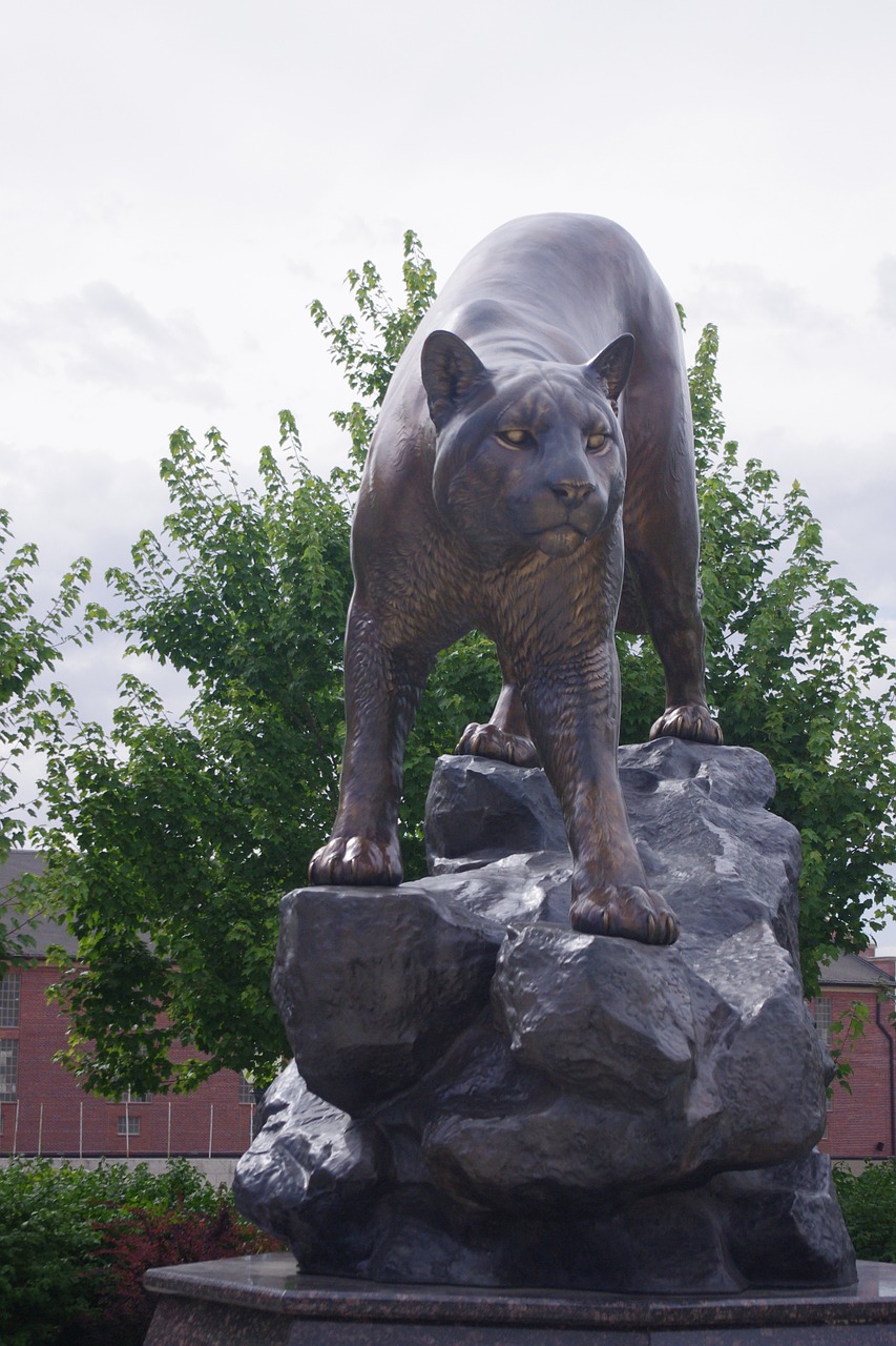 cougar statue mountain lion free photo