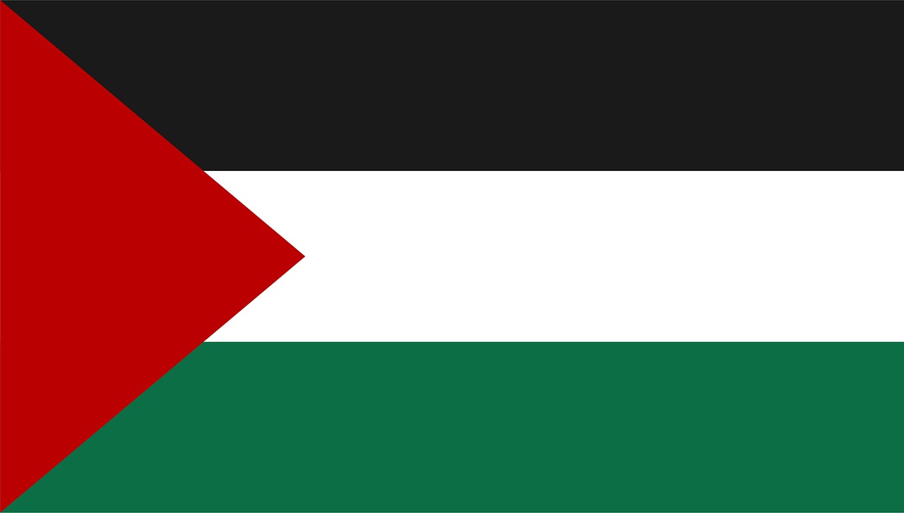 country flag palestine free photo