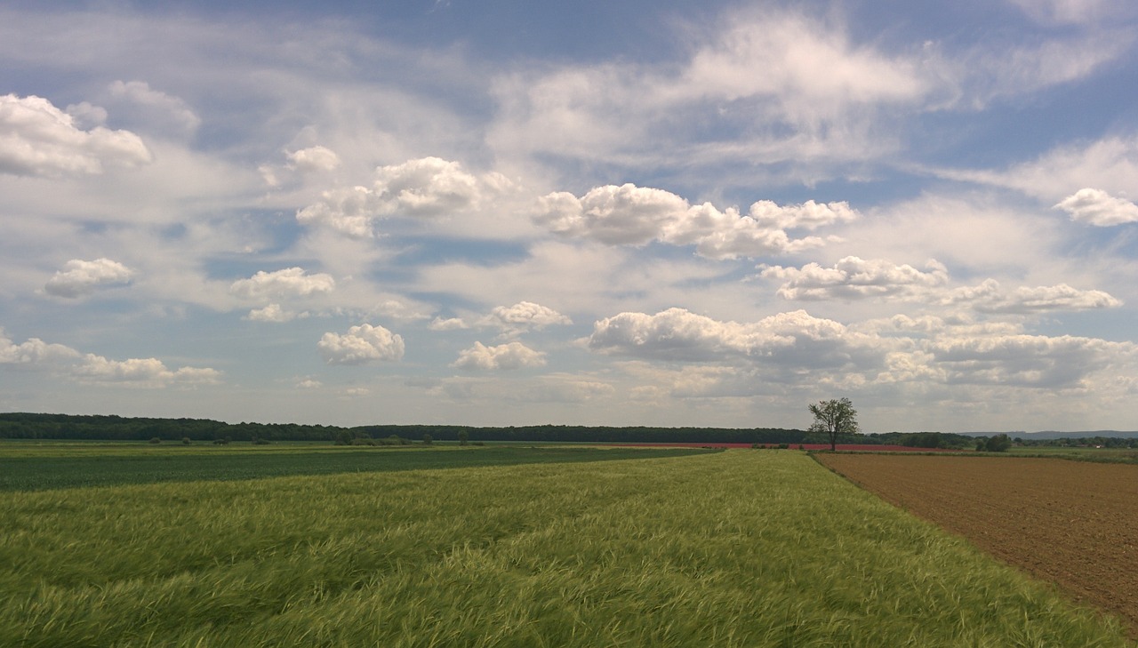 country rural fields free photo