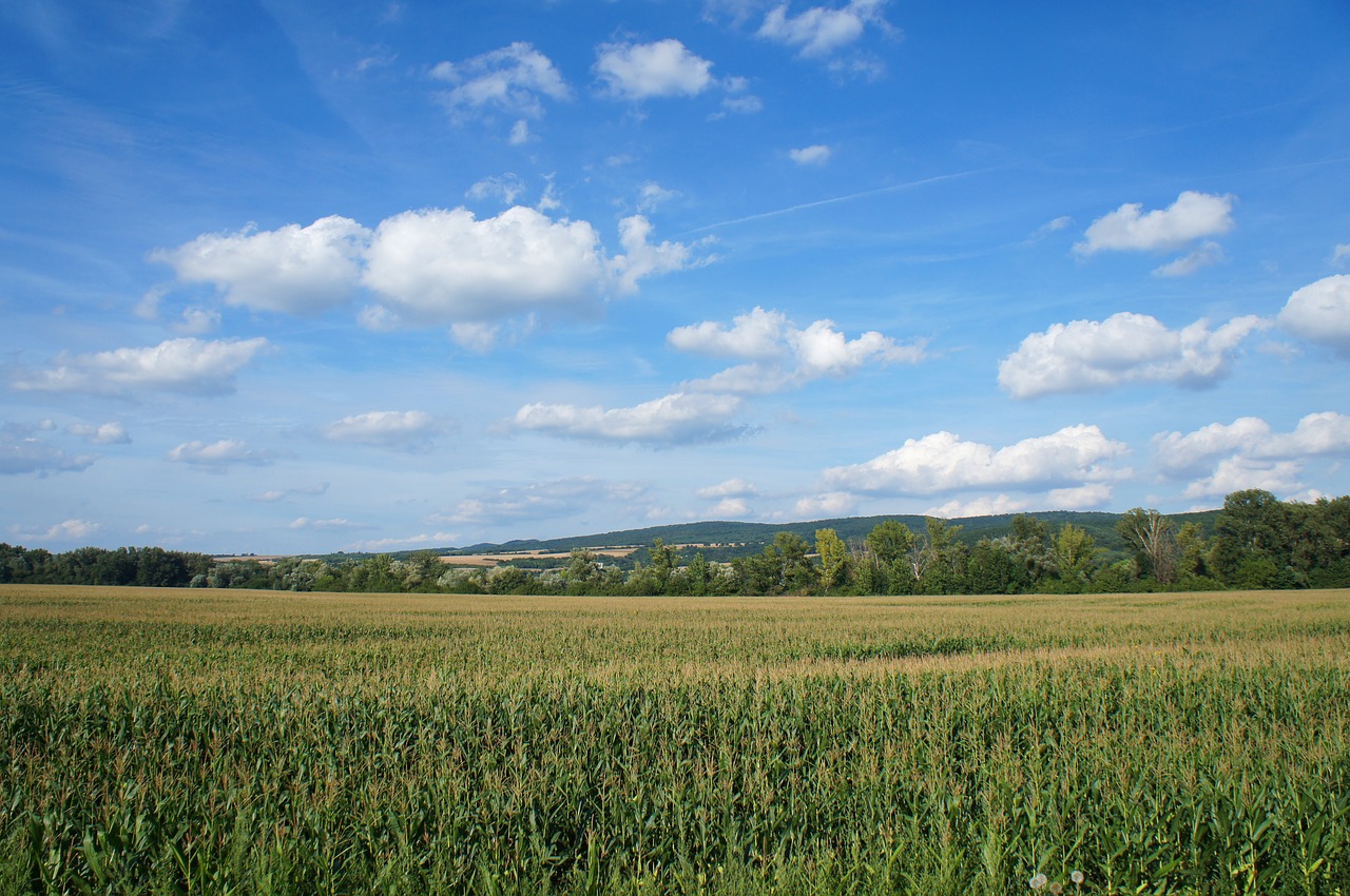 country slovakia field free photo