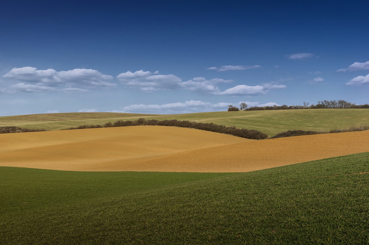 country field spring free photo