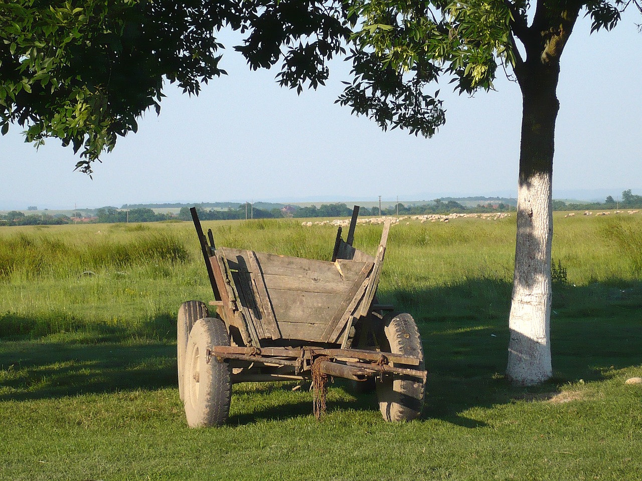 country wagon old free photo