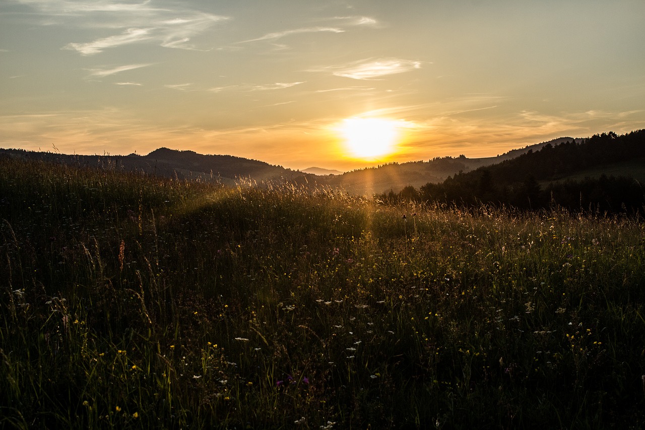 country sunset sun free photo