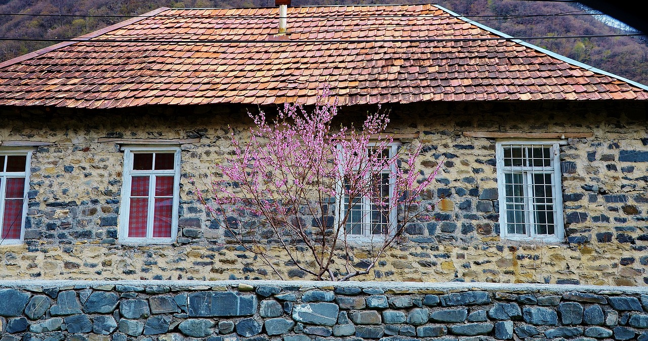 country house building free photo