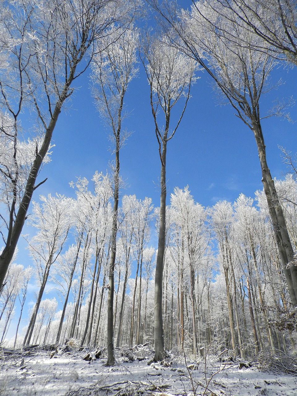 country winter slovakia free photo