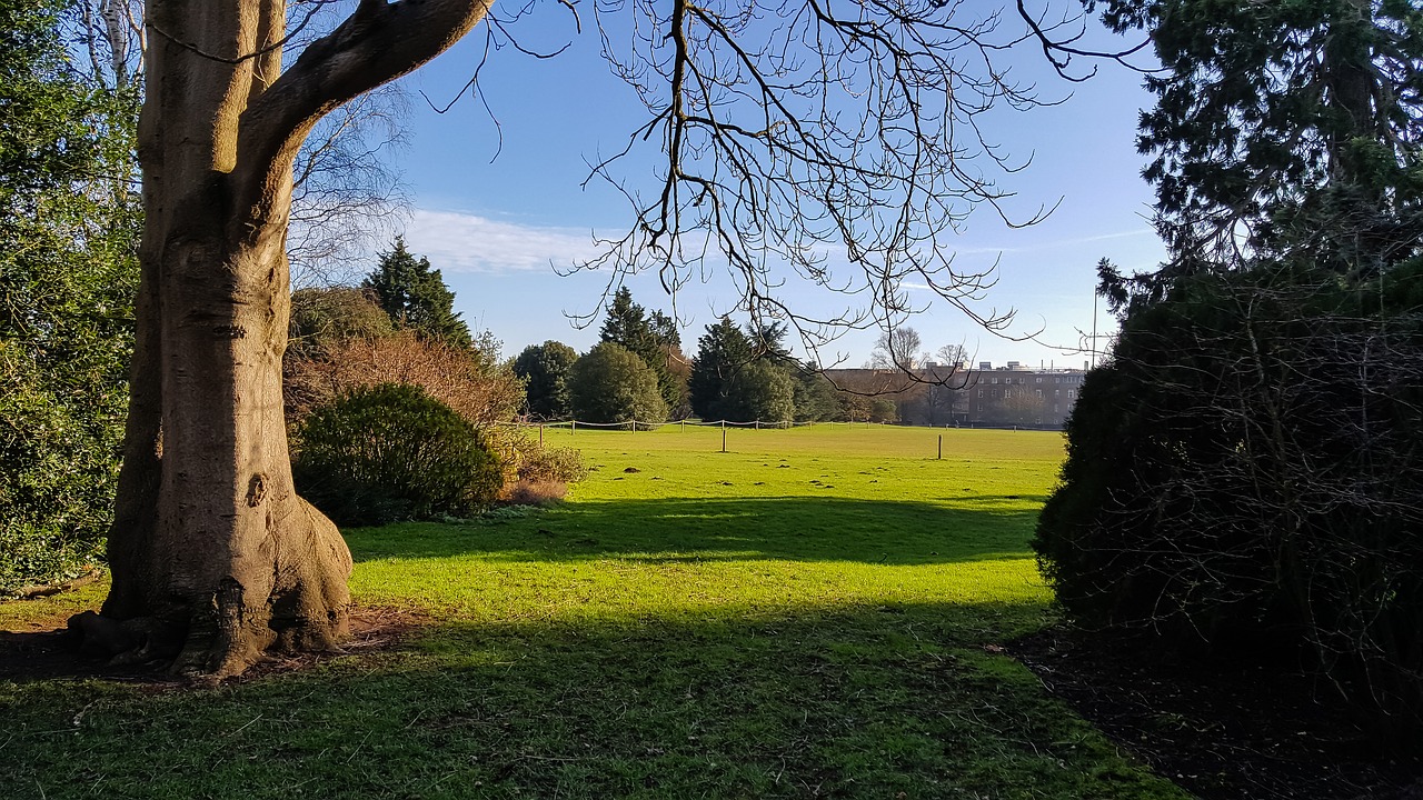 country  daylight  england free photo