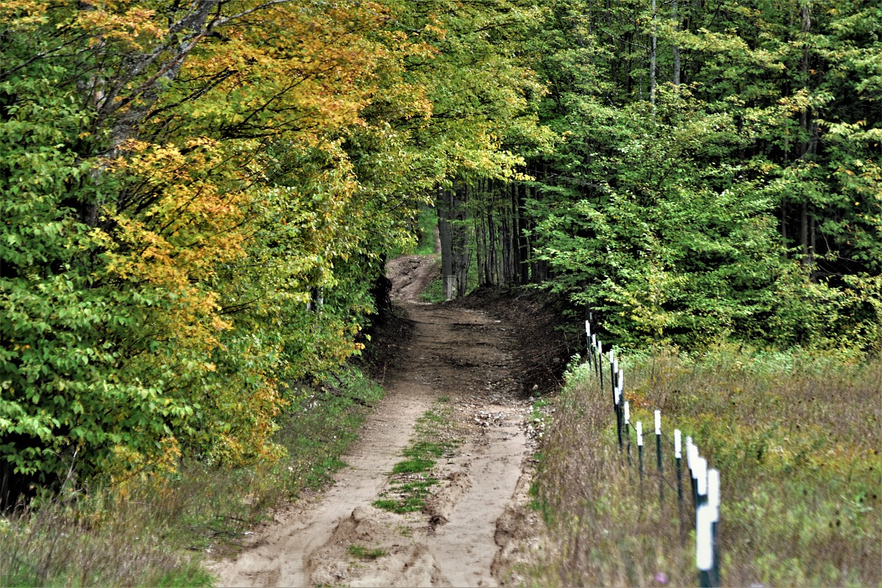 country  road  nature free photo