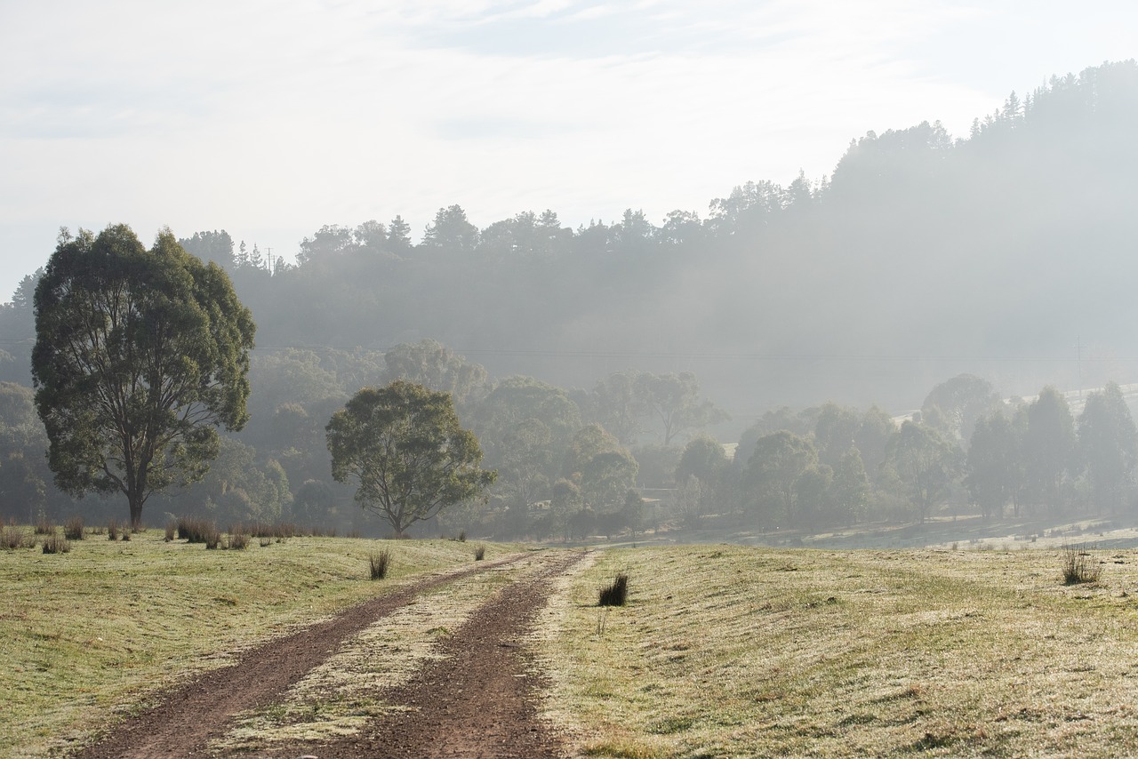 country  road  track free photo