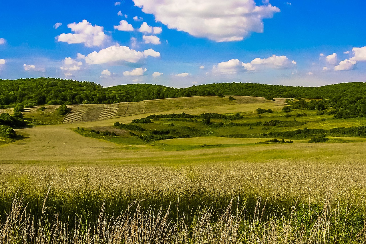 country slovakia fields free photo