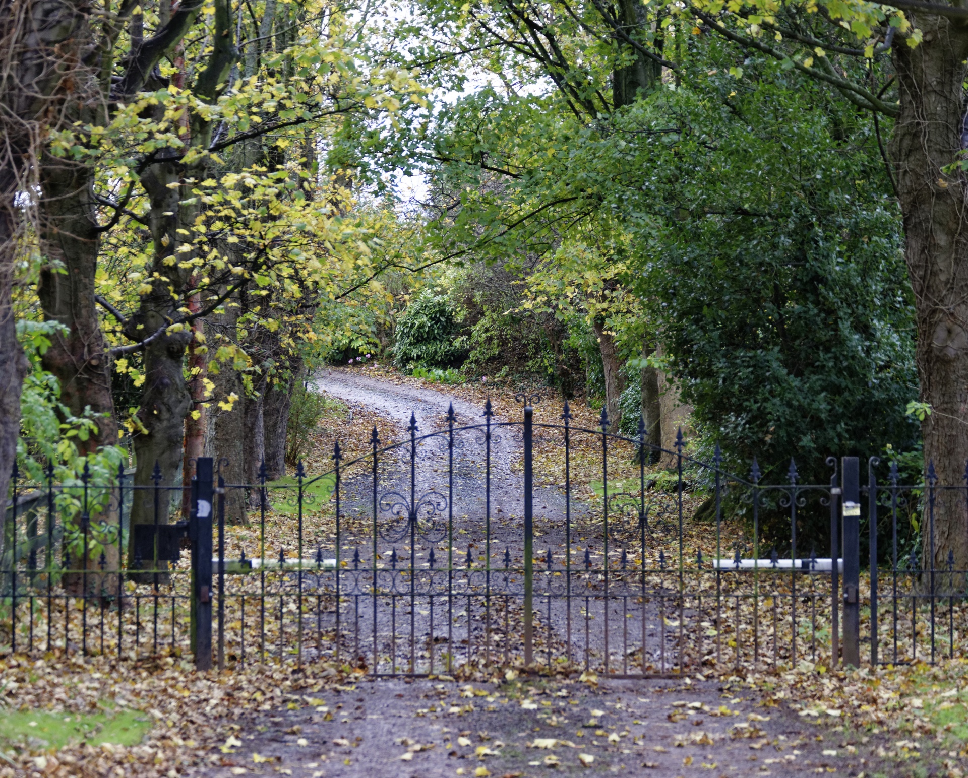 driveway iron gates gates free photo