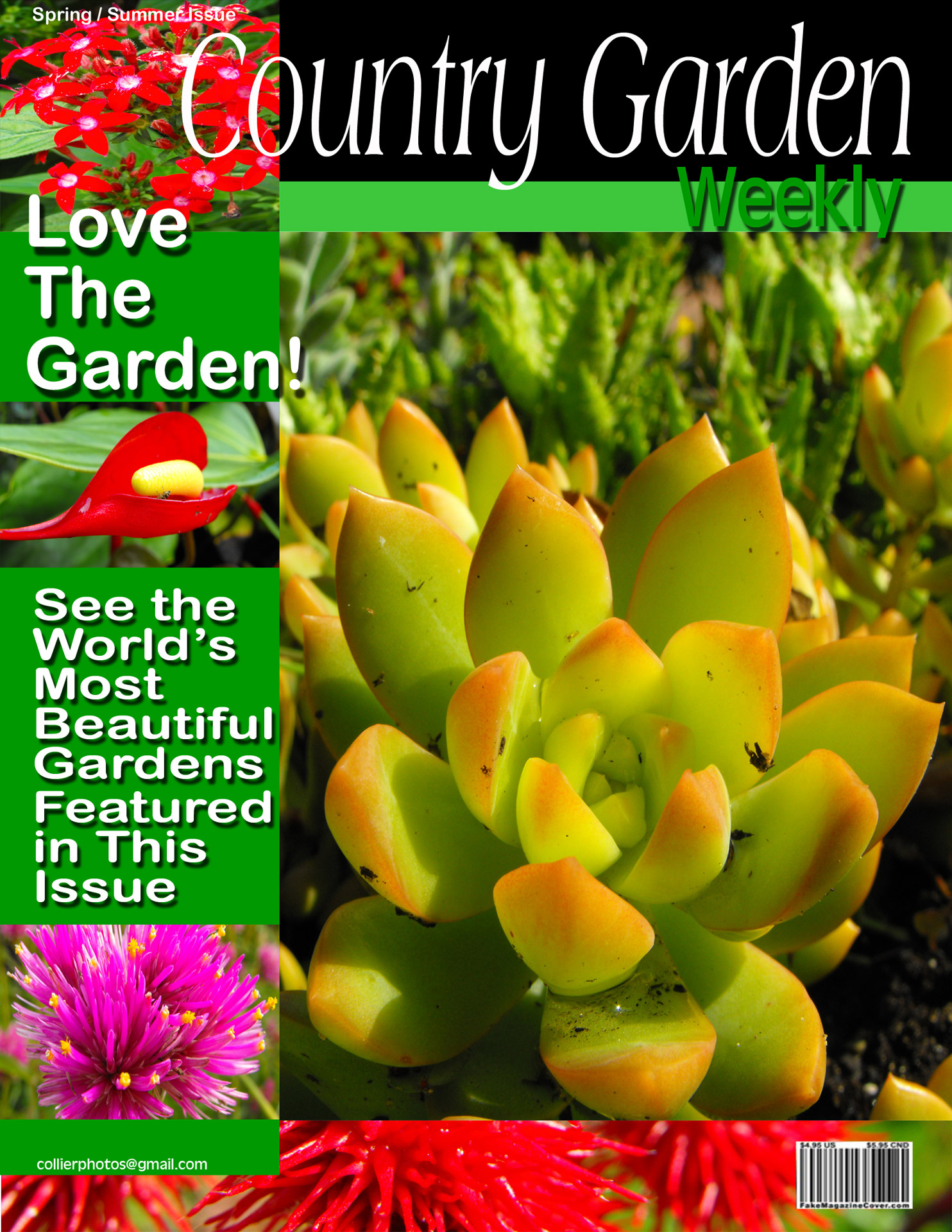 garden flowers magazine free photo