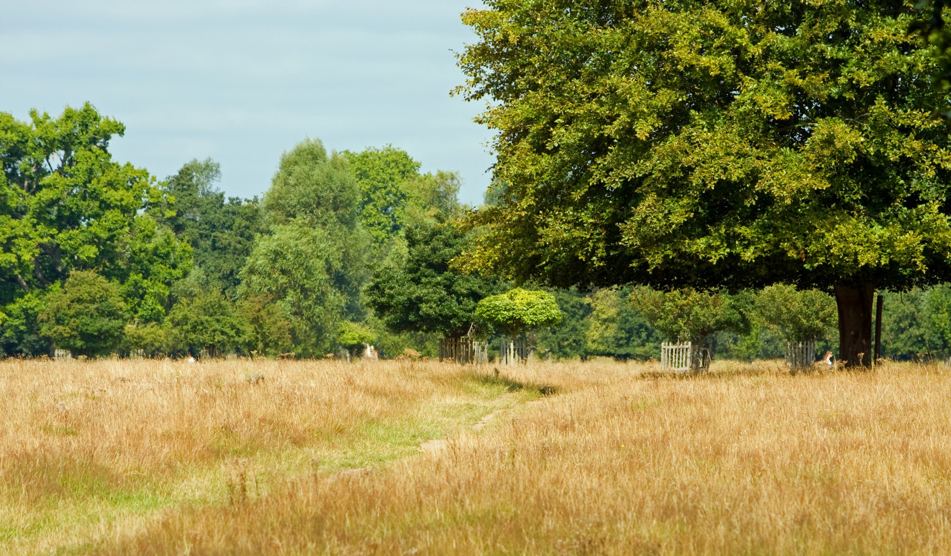 countryside landscape walk free photo