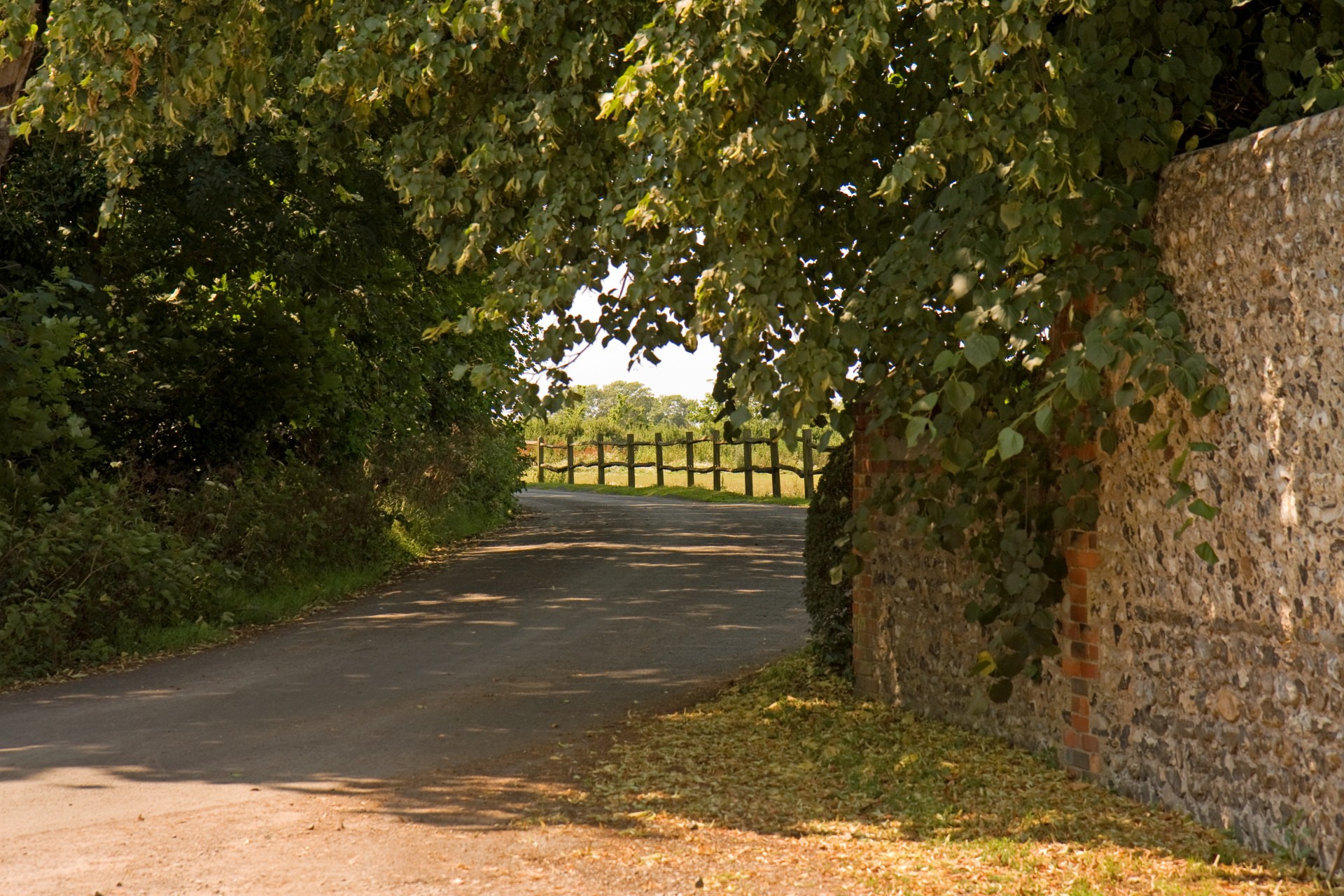 lane track road free photo