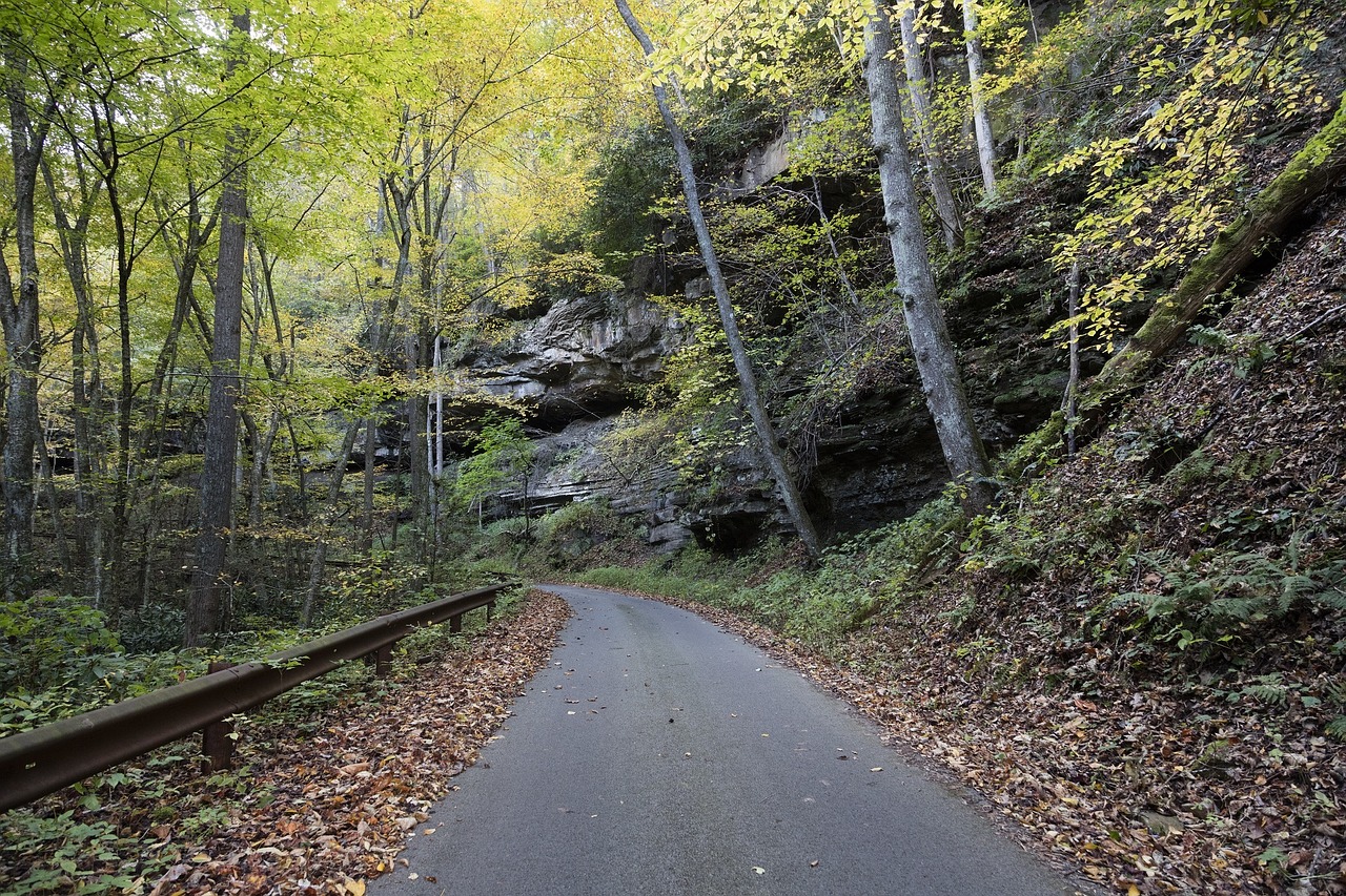 country lane landscape road picturesque free photo