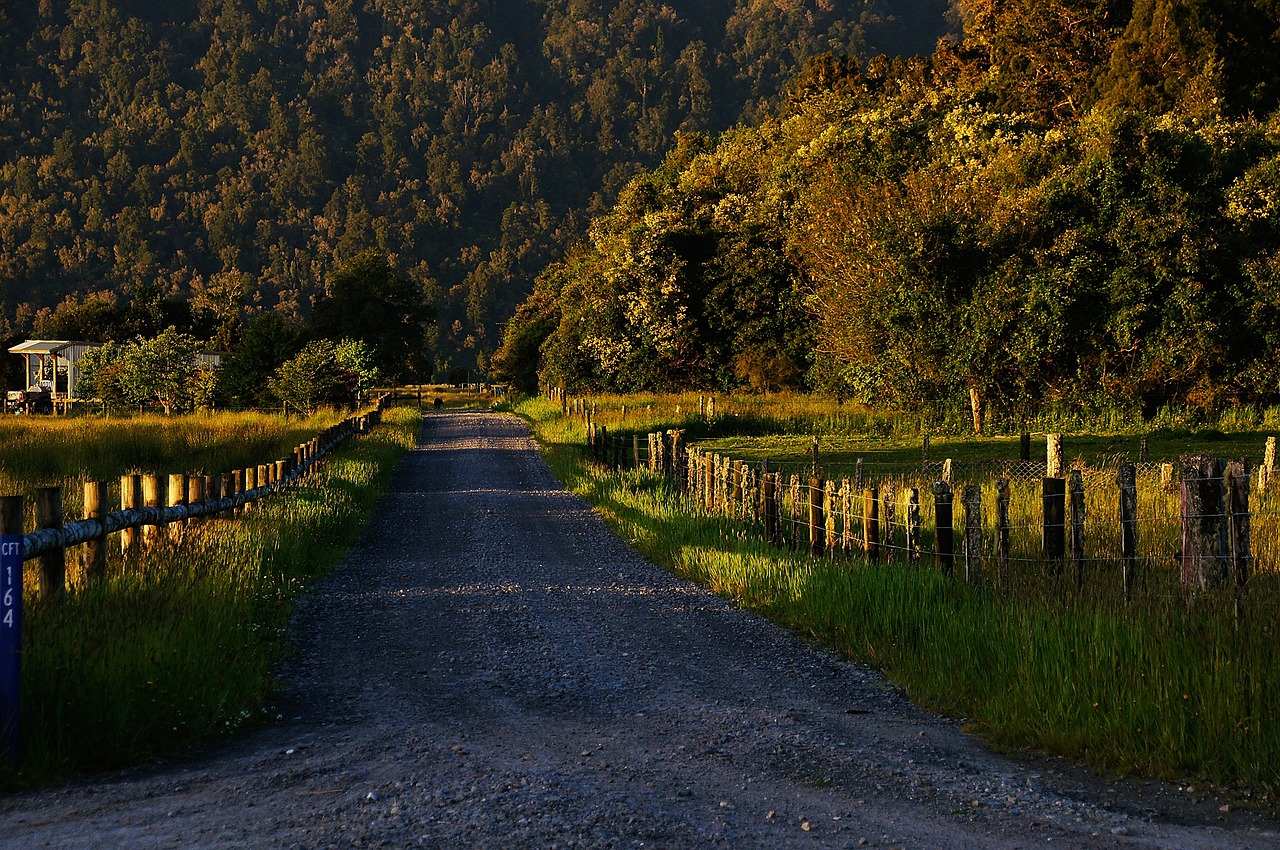 country lane road landscape free photo