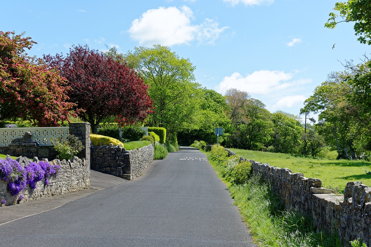 country lane countryside landscape free photo