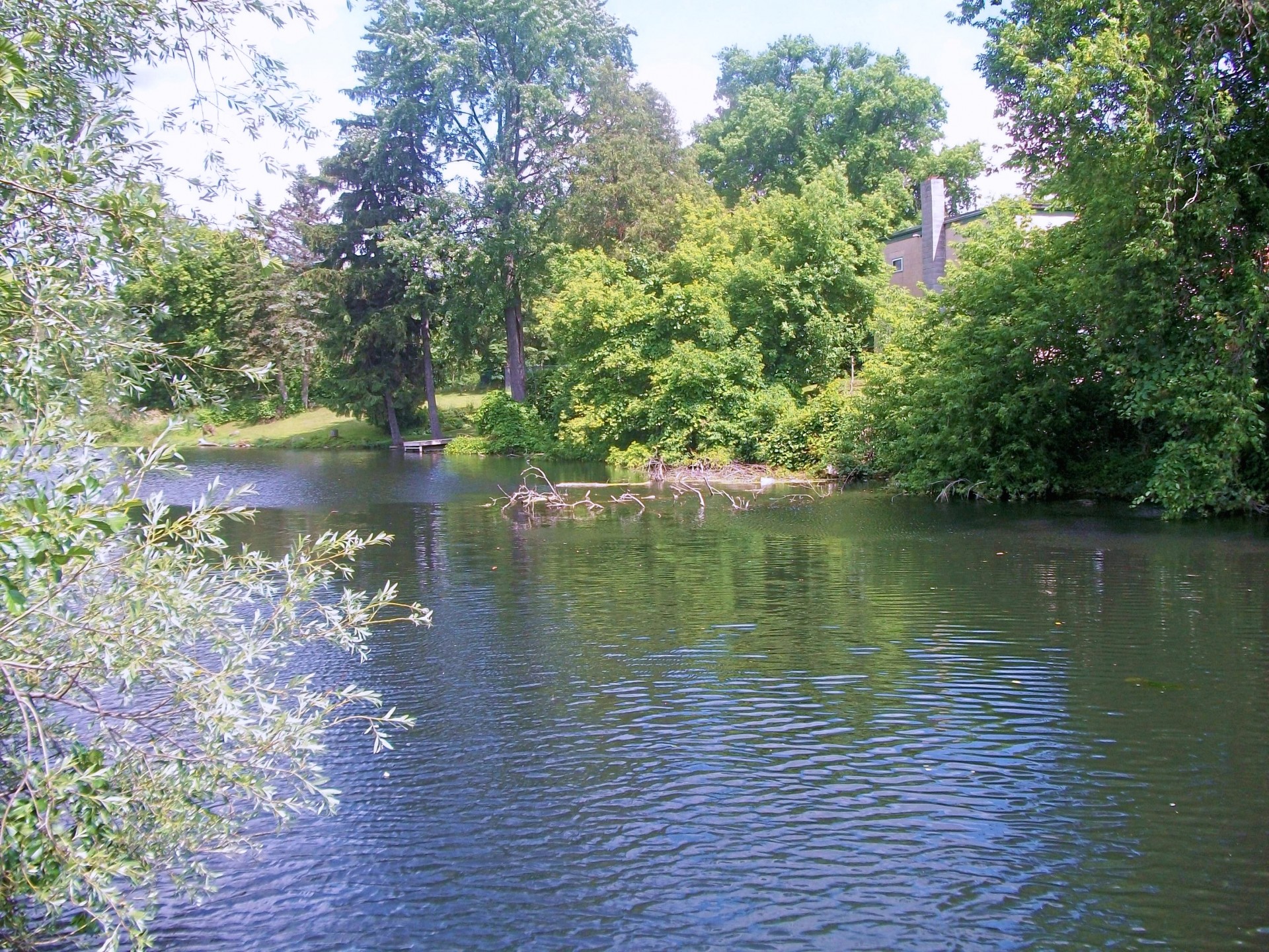 ayr pond ontario free photo