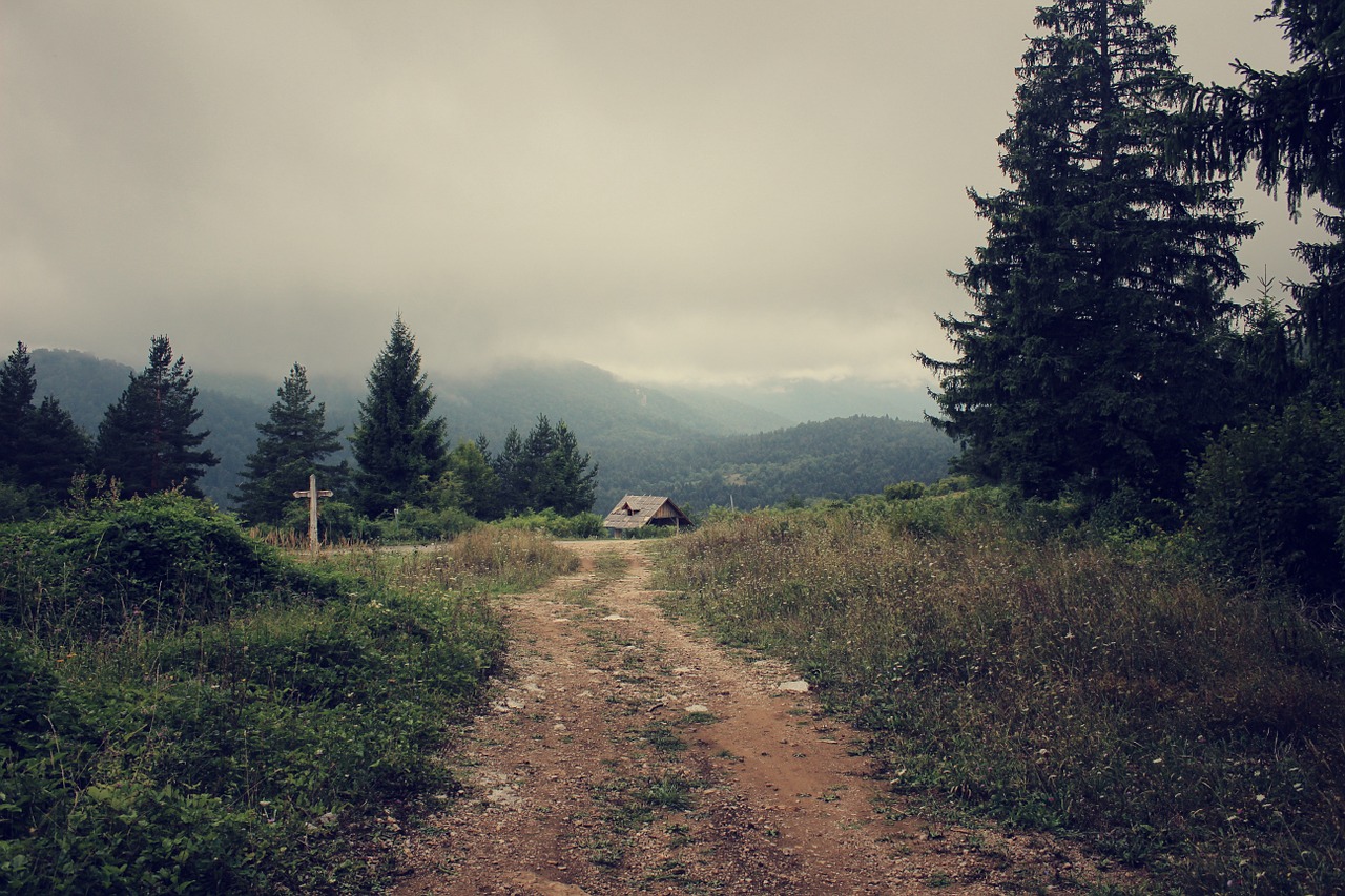 country road dirt road dirt free photo