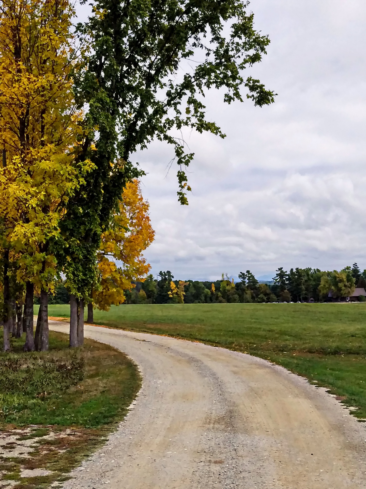 road rural farm free photo