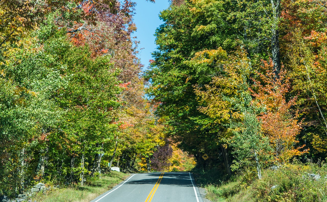 country road new england vermont free photo