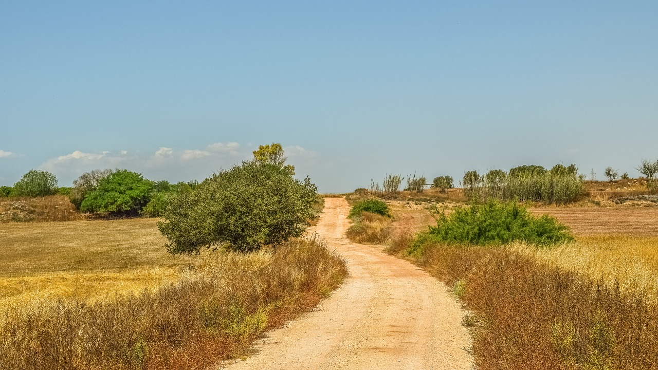 country road countryside road free photo