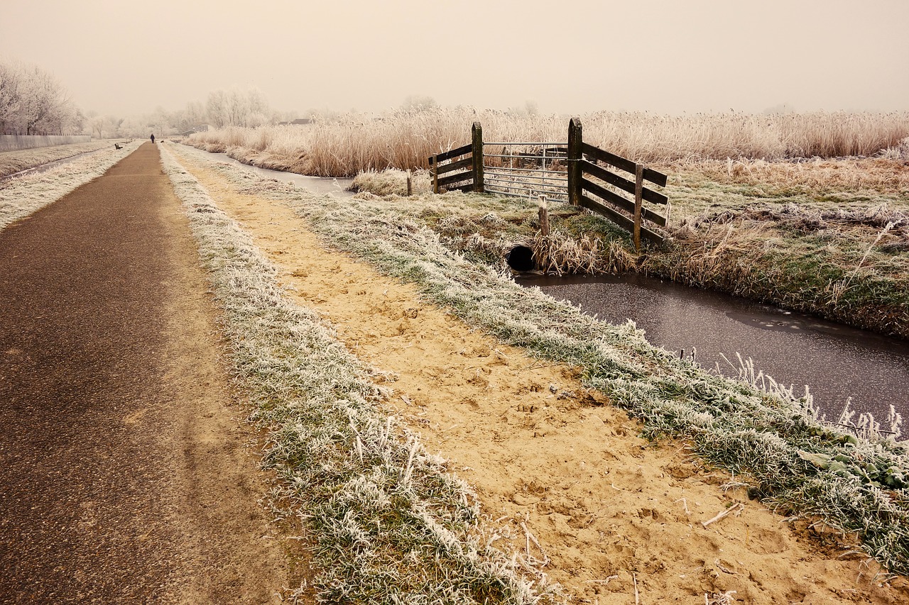 country road road waterway free photo