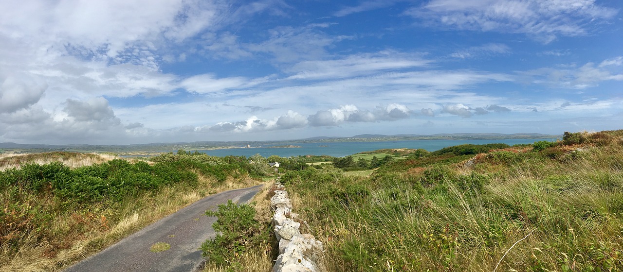 country road  rural  seaview free photo