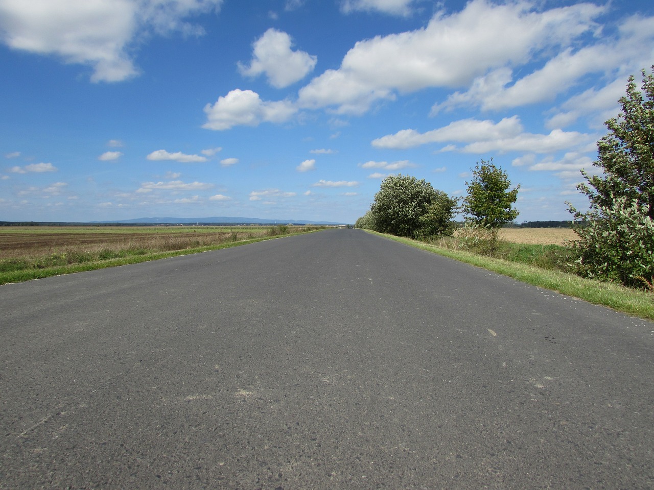 country road side street dirt track free photo