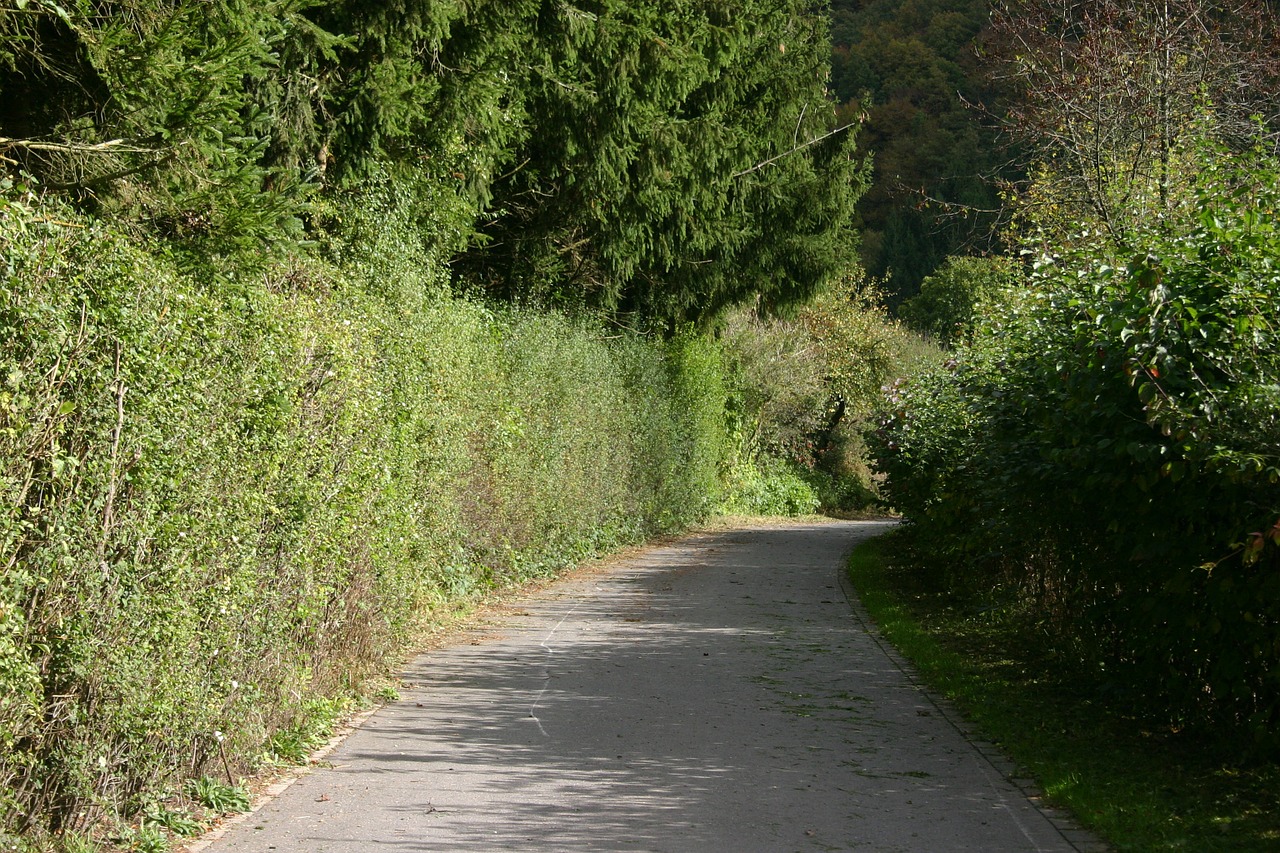 country road road walkway free photo