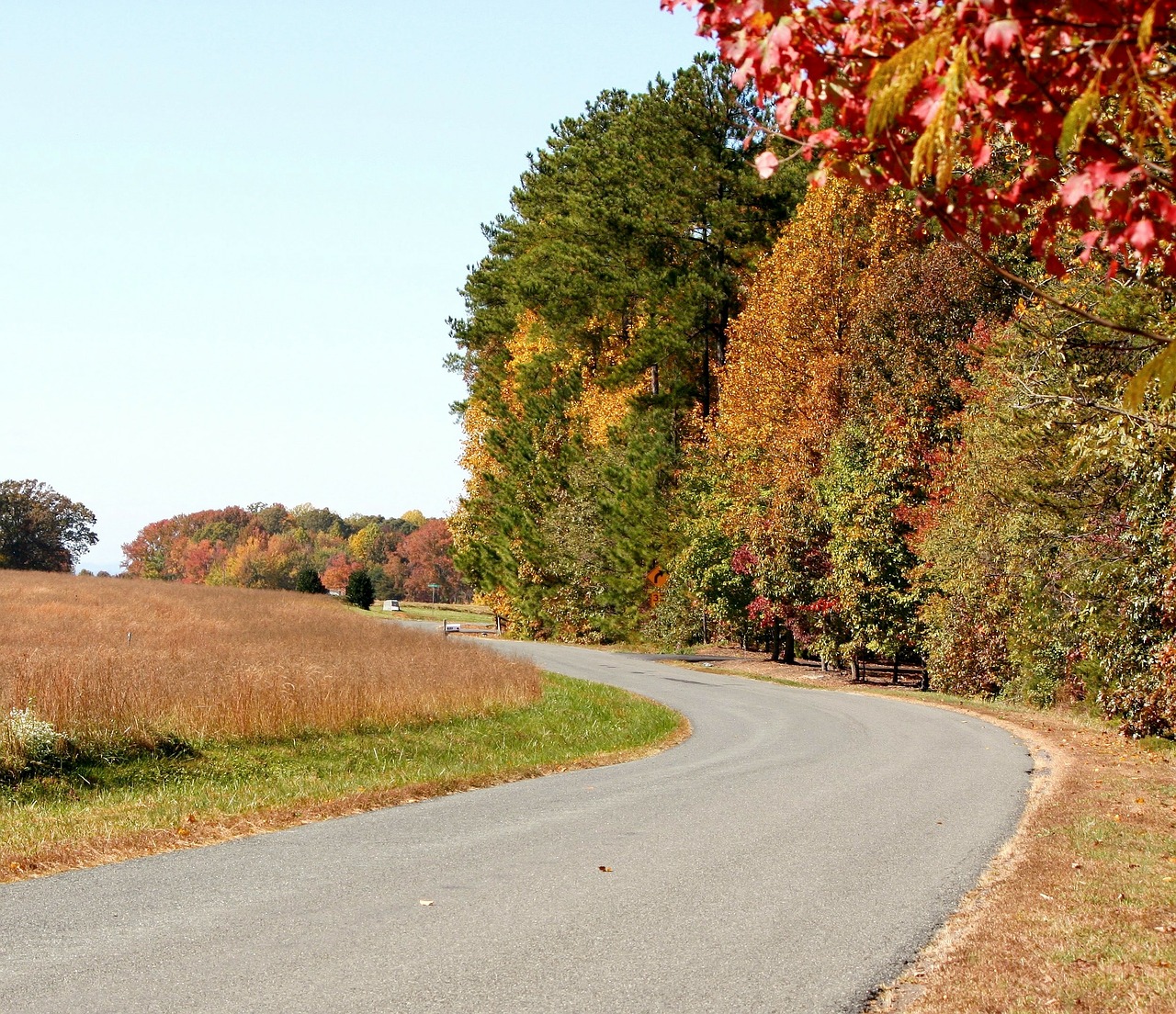 country road lane street free photo