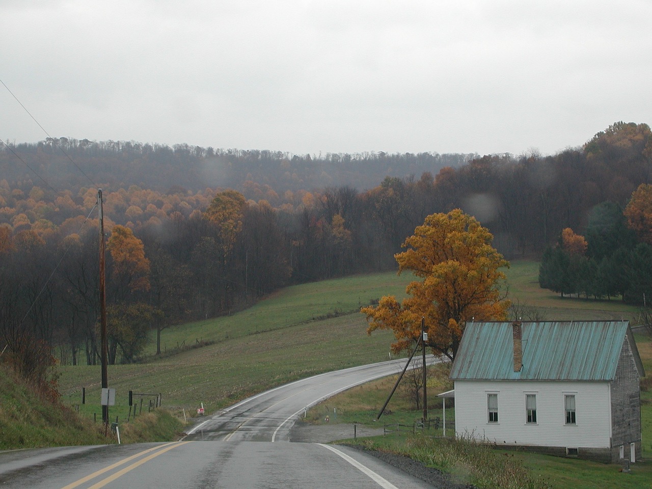 country road fall forest free photo