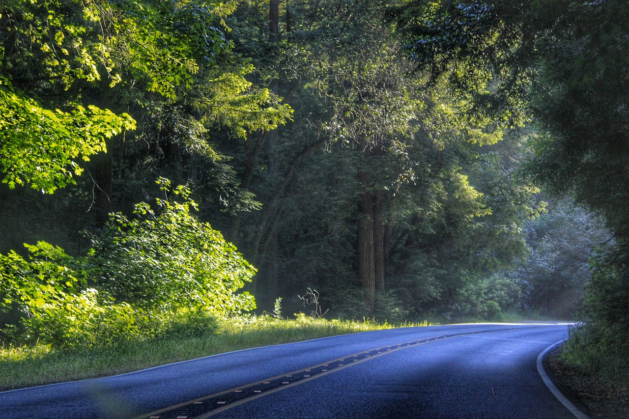 country road pathway nature free photo