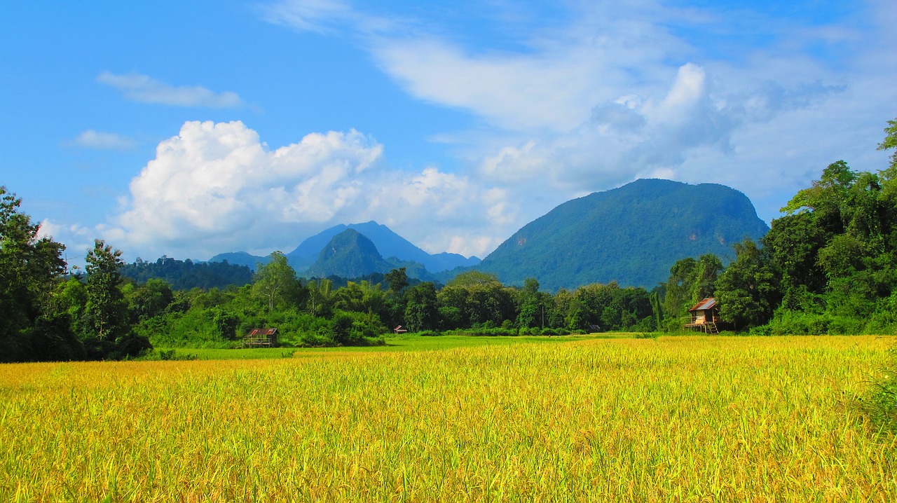 country side laos field free photo