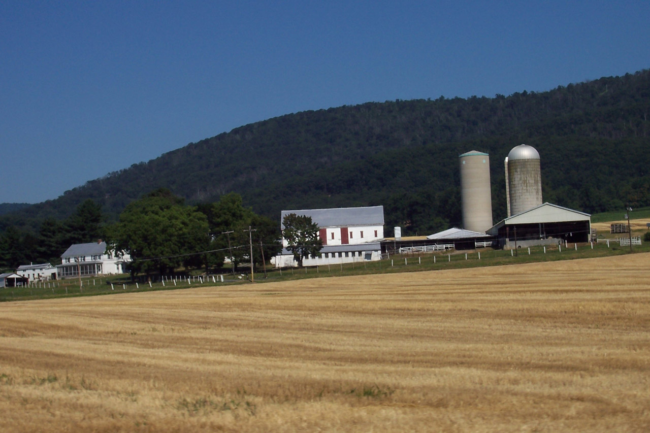 country side view free photo