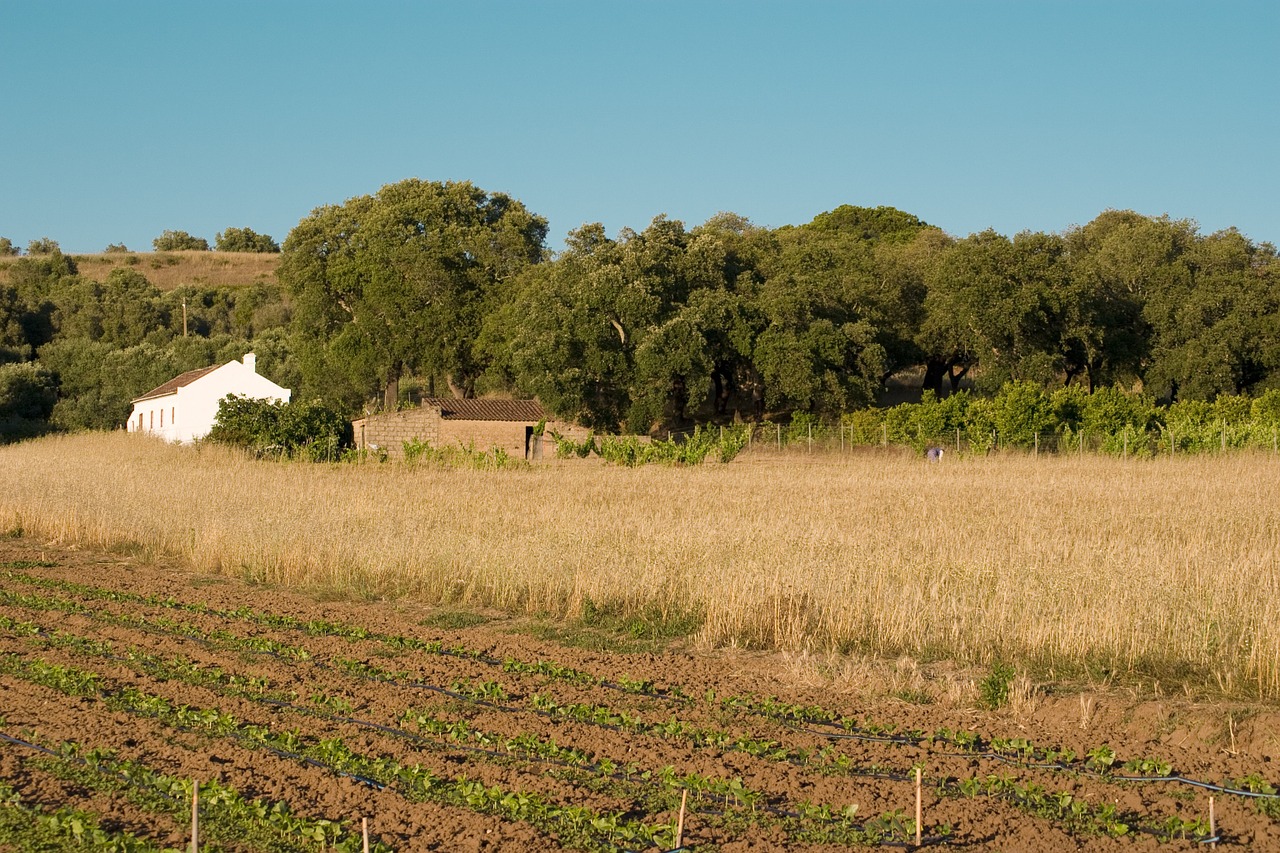 countryside alentejo portugal free photo