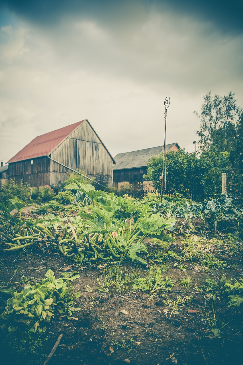 countryside garden houses free photo