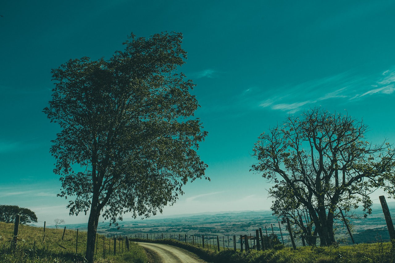 countryside dirt road grass free photo