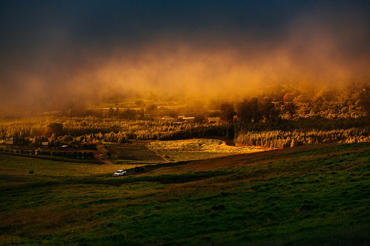 countryside field fog free photo