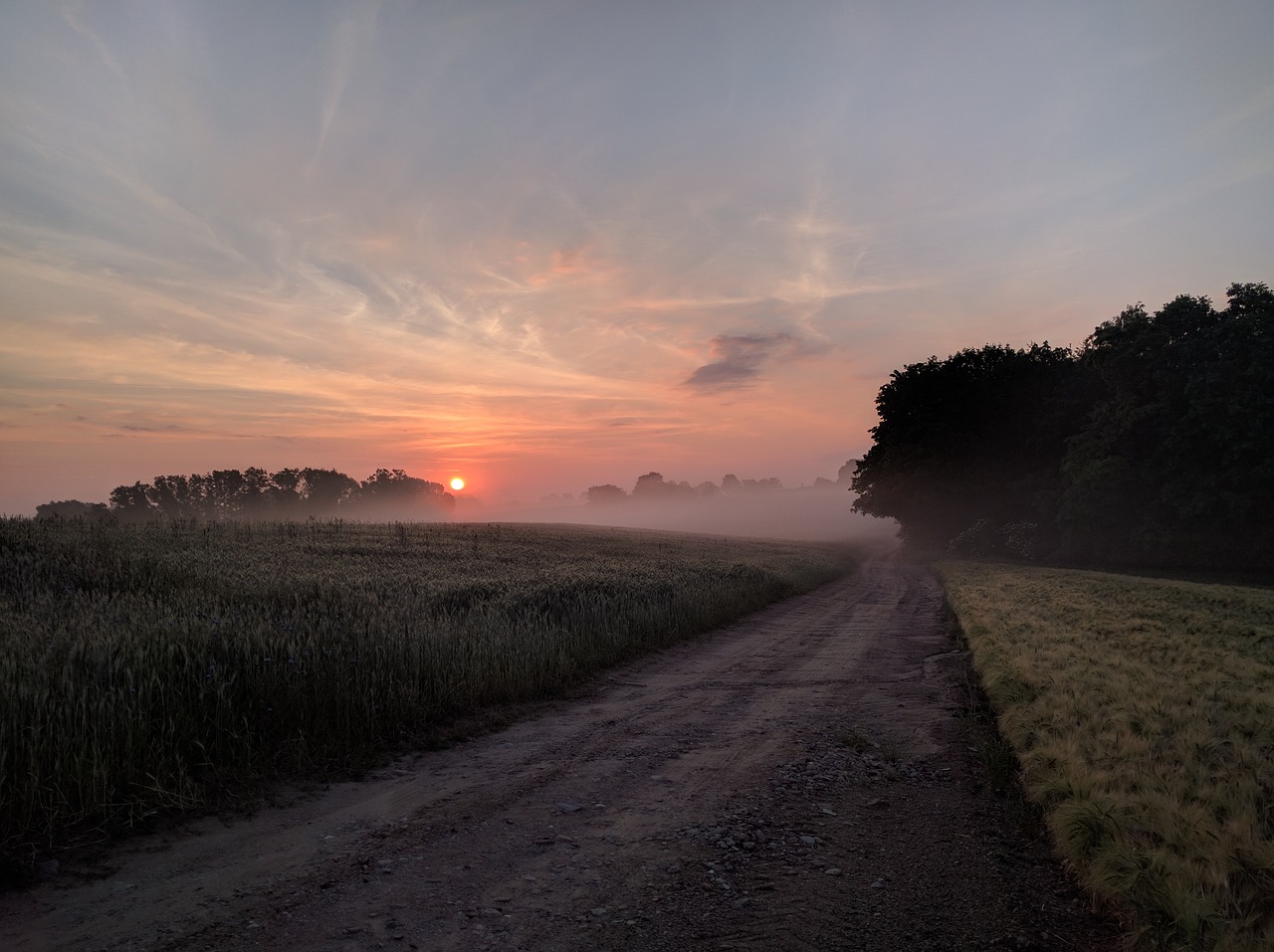 countryside dirt road fields free photo