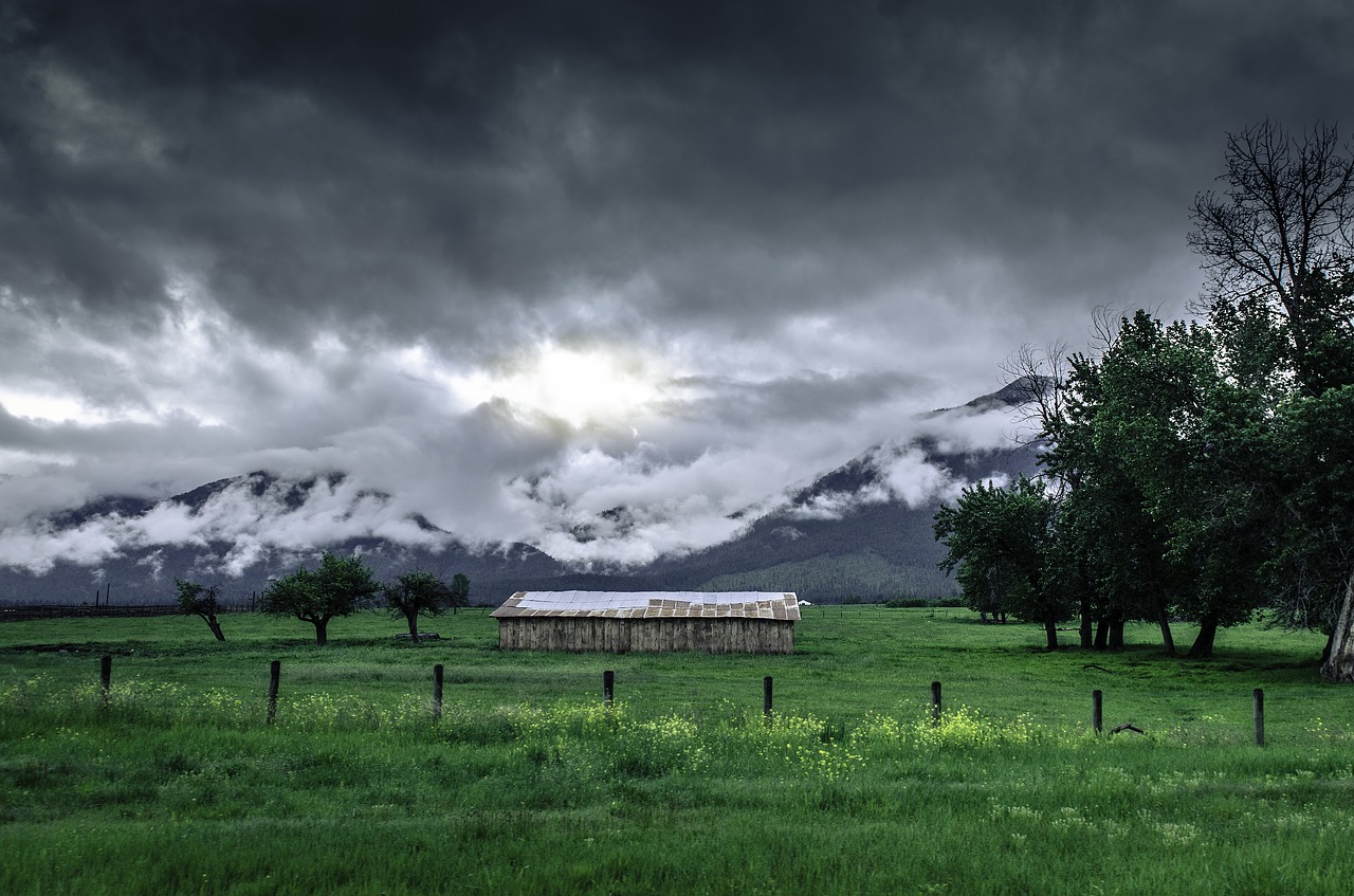 countryside field grass free photo