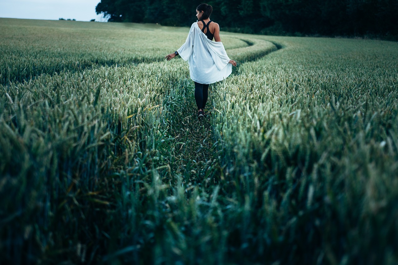 countryside crop cropland free photo