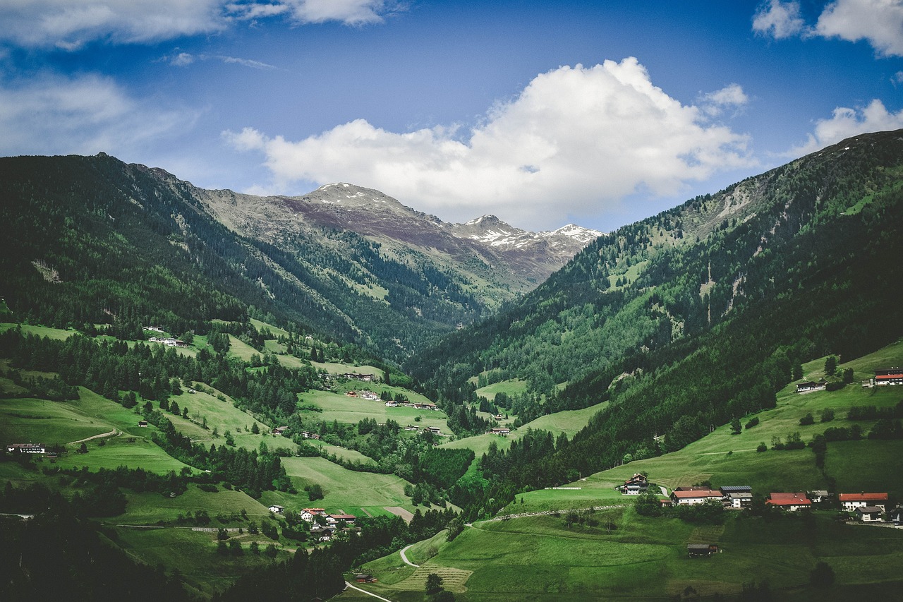 countryside grass landscape free photo