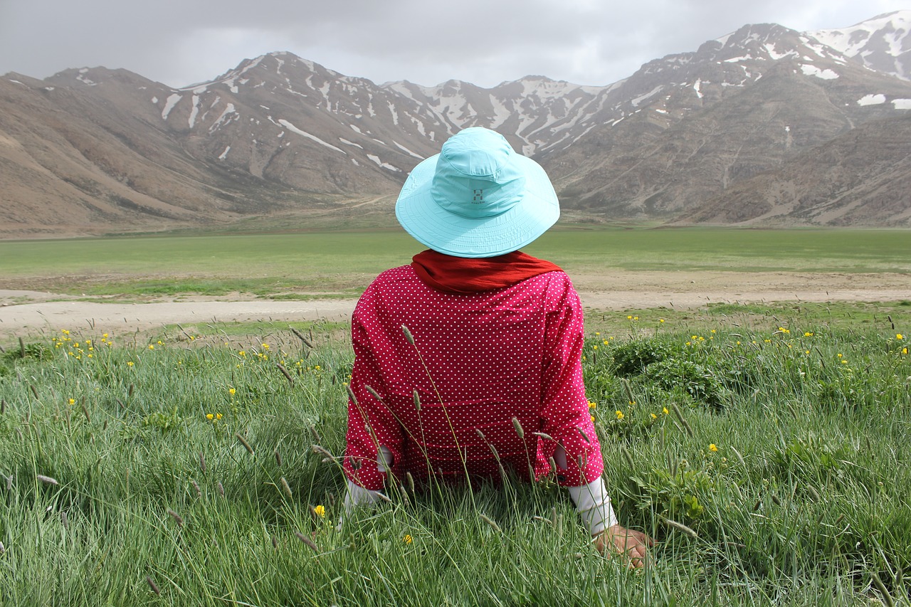 countryside field grass free photo