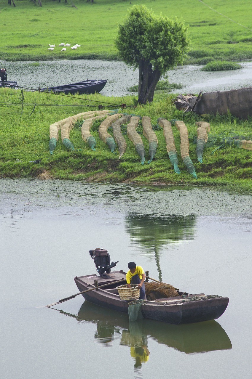 countryside wetlands natural free photo