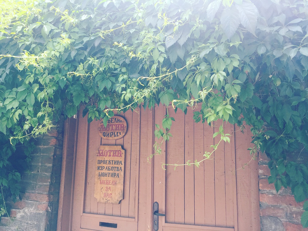 countryside door green free photo